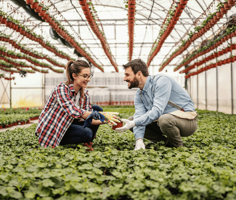 Horticulture & Market Gardening 2